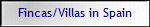 Fincas/Villas in Spain