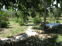 Views from sun terrace onto garden