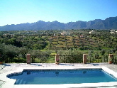 Swimming pool and views