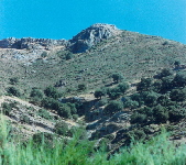 View from pool towards south