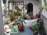 Pation with well feature