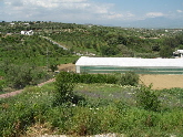 View from front terrace